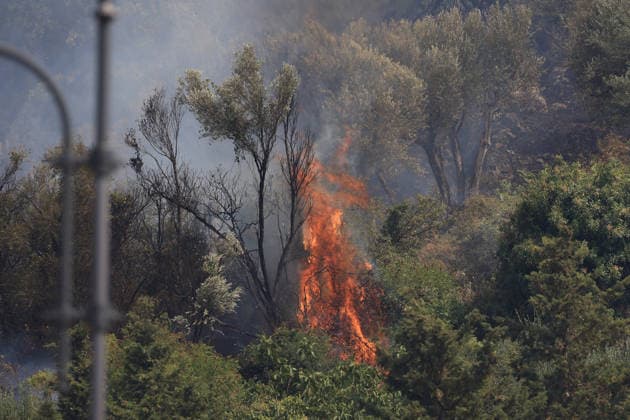 Firefighters battle wildfire near Italy s Palermo PALERMO, ITALY - JULY 26: Firefighter crews launched an aerial and ground response to contain a wildfire that broke out in scrubland near Torretta, outside Palermo on the island of Sicily, Italy on July 26, 2026. Fire engines and two firefighting aircraft were deployed as the blaze threatened nearby residential areas. Alberto Lo Bianco Anadolu Sicily Italy. Editorial use only. Please get in touch for any other usage.  Copyright: x2026xAnadoluxAlbertoxLoxBiancox