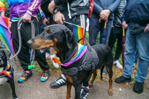 CNTV AMOKLAUF- Mahnwache anlässlich des CSD Anschlages in Berlin Hamburg Neuer Jungfernstieg 26.07.2026 Ca. 800 Menschen nahmen heute nachmittag am Ufer der Binnenalster am neuen Jungfernstieg an einer Mahnwache für die Opfer des Anschalges beim CSD in Berlin teil. Die Veranstaltung wurde von einem groessren Polizeiaufgebot geschuetzt Hamburg Deutschland *** CNTV AMOKLAUF Vigil in Memory of the CSD Attack in Berlin Hamburg Neuer Jungfernstieg July 26, 2026 Approximately 800 people took part this afternoon in a vigil on the banks of the Binnenalster at Neuer Jungfernstieg for the victims of the attack at the CSD in Berlin. The event was protected by a large police presence. Hamburg, Germany