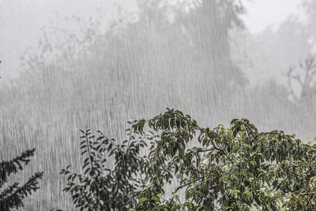 Starkregen im Sommer Ein plötzliches, kurzes Starkregenereignis prasselt mit voller Wucht auf Landschaft und Hausgärten Essen Nordrhein-Westfalen Deutschland *** Heavy Rain in Summer: A sudden, brief downpour lashes the countryside and home gardens with full force in Essen, North Rhine-Westphalia, Germany