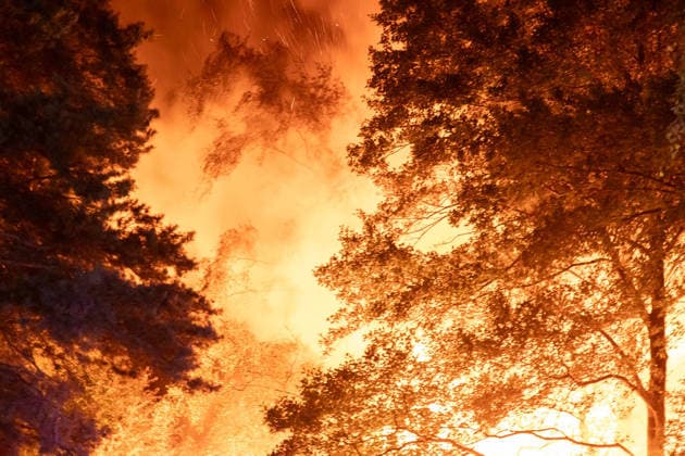 260727BrandGartenanlage News ID: EN 2026-07-27 Großbrand im unwegsamen Gelände: Feuerwehren rückten zu Brand von Gartenhütten aus Feuer drohte auf Wald überzugreifen Oelsnitz. Einsatzkräfte von Feuerwehr, Polizei und Rettungsdienst sind in der Nacht zum Montag zu einem Brandereignis in die Brückenstraße ausgerückt. Gegen 0:50 Uhr brach aus noch ungeklärter Ursache ein Brand in einer Gartenanlage auf der Brückenstraße aus. Bereits auf der Anfahrt der Feuerwehr war der Feuerschein sichtbar. Am Einsatzort angekommen bestätigte sich ein Brand mehrerer Gartenhütten in voller Ausdehnung. Zudem drohte der Brand auf einen angrenzenden Wald überzugreifen. Ein Löschangriff der Feuerwehr gestaltete sich zunächst schwierig, da der