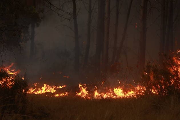 Firefighting operation continues as wildfire burns in Saint-Jean-d Illac, France SAINT-JEAN-D ILLAC, FRANCE - JULY 26: Firefighting operations continue as a wildfire burns near Saint-Jean-d Illac in southwestern France on July 26, 2026. Fire engines, heavy machinery and a firefighting helicopter are deployed to contain the blaze, while firefighters battle the fire on the ground. French Interior Minister Laurent Nunez warns that the situation remains highly unfavorable. Mohamad Salaheldin Abdelghani Alsayed Anadolu Saint-Jean-d Illac France. Editorial use only. Please get in touch for any other usage.  Copyright: x2026xAnadoluxMohamadxSalaheldinxAbdelghanixAlsayedx