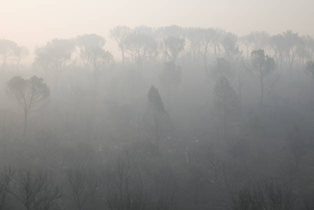 The wildfire in Madrid’s Sierra Oeste slowed its spread overnight, though it has not yet been brought under control. View of the smoke from the wildfire, July 27, 2026, in Navas del Rey, Madrid, Spain. The wildfires affecting the Community of Madrid have slowed their spread overnight, a development that has allowed firefighting crews to tackle the various hotspots; however, the fire remains active and uncontrolled, and there are concerns that wind gusts of up to 30 kilometers per hour forecast for today will complicate firefighting efforts on July 27, 2026. Alejandro Martínez Vé, Madrid, Madrid, Spain  Copyright: xAlejandroxMartinezxVÃ lezx 7689268