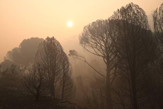 The wildfire in Madrid’s Sierra Oeste slowed its spread overnight, though it has not yet been brought under control. View of the smoke from the wildfire, July 27, 2026, in Navas del Rey, Madrid, Spain. The wildfires affecting the Community of Madrid have slowed their spread overnight, a development that has allowed firefighting crews to tackle the various hotspots; however, the fire remains active and uncontrolled, and there are concerns that wind gusts of up to 30 kilometers per hour forecast for today will complicate firefighting efforts on July 27, 2026. Alejandro Martínez Vé, Madrid, Madrid, Spain  Copyright: xAlejandroxMartinezxVÃ lezx 7689270