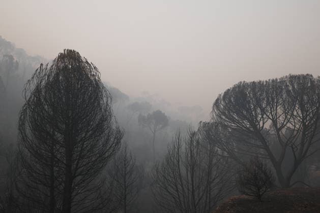 The wildfire in Madrid’s Sierra Oeste slowed its spread overnight, though it has not yet been brought under control. View of the smoke from the wildfire, July 27, 2026, in Navas del Rey, Madrid, Spain. The wildfires affecting the Community of Madrid have slowed their spread overnight, a development that has allowed firefighting crews to tackle the various hotspots; however, the fire remains active and uncontrolled, and there are concerns that wind gusts of up to 30 kilometers per hour forecast for today will complicate firefighting efforts on July 27, 2026. Alejandro Martínez Vé, Madrid, Madrid, Spain  Copyright: xAlejandroxMartinezxVÃ lezx 7689272