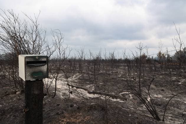 Wildfires in Gironde: The Site Where the Fire Started in Saumos PHOTOPQR SUD OUEST Photo by Fabien Cottereau Saumos, July 27, 2026 Wildfires in Gironde: At the site where the fire started in Saumos on Wednesday, July 22, it is a completely charred, apocalyptic landscape Saumos, France, July 27, 2026 – Gironde wildfires The area where the blaze started in Saumos on Wednesday, July 22, has been left as a completely charred, apocalyptic landscape Saumos 20 Gironde France  Copyright: xPHOTOPQR SUDxOUEST MAXPPPxPhotoxFabienxCottereaux 20260727SDO4114 20260727SDO4114