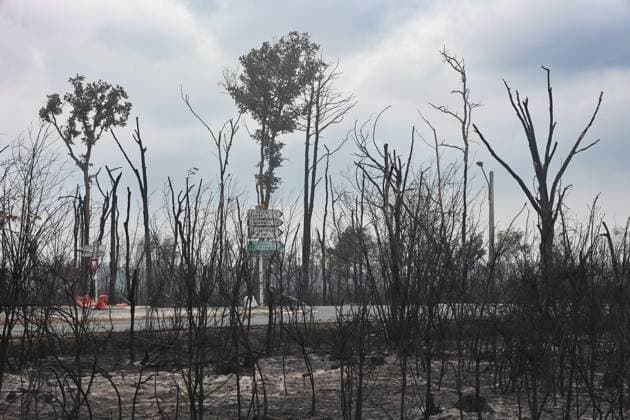 Wildfires in Gironde: The Site Where the Fire Started in Saumos PHOTOPQR SUD OUEST Photo by Fabien Cottereau Saumos, July 27, 2026 Wildfires in Gironde: At the site where the fire started in Saumos on Wednesday, July 22, it is a completely charred, apocalyptic landscape Saumos, France, July 27, 2026 – Gironde wildfires The area where the blaze started in Saumos on Wednesday, July 22, has been left as a completely charred, apocalyptic landscape Saumos 20 Gironde France  Copyright: xPHOTOPQR SUDxOUEST MAXPPPxPhotoxFabienxCottereaux 20260727SDO4116 20260727SDO4116