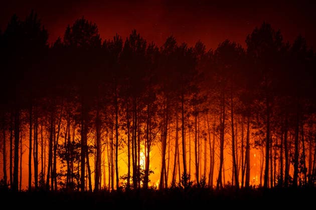Images of firefighters and rescue workers battling the fires ravaging the Gironde overnight, July 27, 2026 SDIS33 Julien Soulard Amael Dubiez Bestimage Images of firefighters and rescue workers battling the fires ravaging the Gironde overnight on July 27, 2026 France  Copyright: xSDIS33 JulienxSoulard-AmaelxDubiez BestimagexSDIS33 JulienxSoulard-AmaelxDubiez Bestimagex