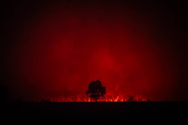 Images of firefighters and rescue workers battling the fires ravaging the Gironde overnight, July 27, 2026 SDIS33 Julien Soulard Amael Dubiez Bestimage Images of firefighters and rescue workers battling the fires ravaging the Gironde overnight on July 27, 2026 France  Copyright: xSDIS33 JulienxSoulard-AmaelxDubiez BestimagexSDIS33 JulienxSoulard-AmaelxDubiez Bestimagex