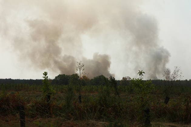 Massive wildfire burns 42,000 hectares in Gironde, southwestern France GIRONDE, FRANCE - JULY 27: A massive wildfire struck the Gironde department of southwestern France on July 27, 2026. As firefighters continued efforts to contain the flames, the wildfire caused widespread destruction across affected areas, where burned vehicles, damaged buildings, destroyed roads, and charred trees were visible. The blaze, which started in the Saumos area on Wednesday, has burned around 42,000 hectares, according to Gironde authorities. More than 220,000 people were evacuated as a precaution, while around 240 homes were fully or partially damaged. Around 2,500 firefighters, 1,500 soldiers and 1,200 security personnel are involved in the response as crews  Copyright: x2026xAnadoluxMohamadxSalaheldinxAbdelghanixAlsayedx