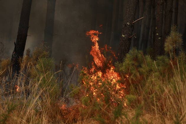 Massive wildfire burns 42,000 hectares in Gironde, southwestern France GIRONDE, FRANCE - JULY 27: A massive wildfire struck the Gironde department of southwestern France on July 27, 2026. As firefighters continued efforts to contain the flames, the wildfire caused widespread destruction across affected areas, where burned vehicles, damaged buildings, destroyed roads, and charred trees were visible. The blaze, which started in the Saumos area on Wednesday, has burned around 42,000 hectares, according to Gironde authorities. More than 220,000 people were evacuated as a precaution, while around 240 homes were fully or partially damaged. Around 2,500 firefighters, 1,500 soldiers and 1,200 security personnel are involved in the response as crews  Copyright: x2026xAnadoluxMohamadxSalaheldinxAbdelghanixAlsayedx