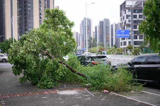 Typhoon Noul hits southern China HUIZHOU,CHINA - JULY 27: Trees collapsed in strong winds as the Typhoon Noul passes through on July 27,2026 in Huizhou, Guangdong Province of China. Typhoon Noul , the 12th typhoon of this year, brought heavy winds and torrential rains along the way, causing tree lodging, road ponding, and facilities damage. The residual circulation continued to create heavy rainfall in many inland places, and the risk of secondary disasters such as flash floods and landslides was still high. John Ricky Anadolu Guangdong China. Editorial use only. Please get in touch for any other usage.  Copyright: x2026xAnadoluxJohnxRickyx