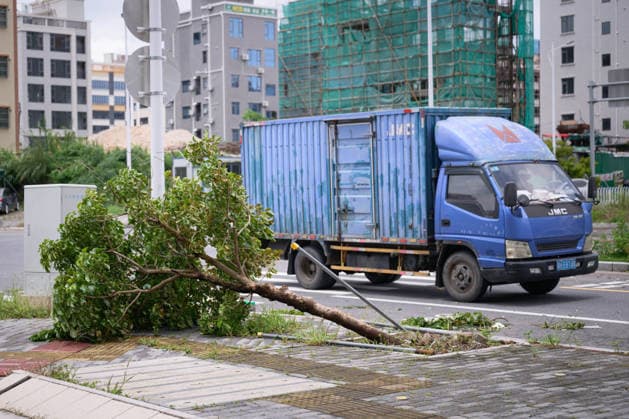 Typhoon Noul hits southern China HUIZHOU,CHINA - JULY 27: Trees collapsed in strong winds as the Typhoon Noul passes through on July 27,2026 in Huizhou, Guangdong Province of China. Typhoon Noul , the 12th typhoon of this year, brought heavy winds and torrential rains along the way, causing tree lodging, road ponding, and facilities damage. The residual circulation continued to create heavy rainfall in many inland places, and the risk of secondary disasters such as flash floods and landslides was still high. John Ricky Anadolu Guangdong China. Editorial use only. Please get in touch for any other usage.  Copyright: x2026xAnadoluxJohnxRickyx