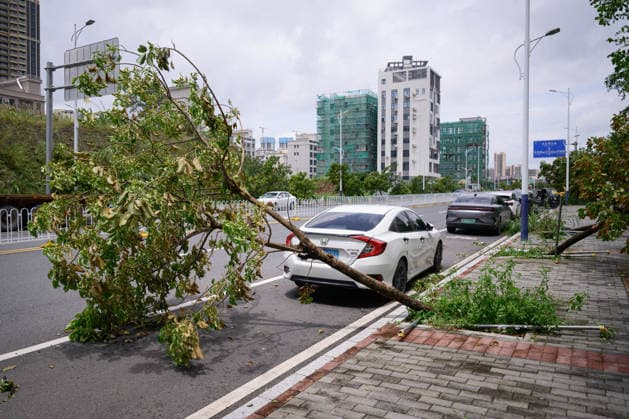 Typhoon Noul hits southern China HUIZHOU,CHINA - JULY 27: Trees collapsed in strong winds as the Typhoon Noul passes through on July 27,2026 in Huizhou, Guangdong Province of China. Typhoon Noul , the 12th typhoon of this year, brought heavy winds and torrential rains along the way, causing tree lodging, road ponding, and facilities damage. The residual circulation continued to create heavy rainfall in many inland places, and the risk of secondary disasters such as flash floods and landslides was still high. John Ricky Anadolu Guangdong China. Editorial use only. Please get in touch for any other usage.  Copyright: x2026xAnadoluxJohnxRickyx