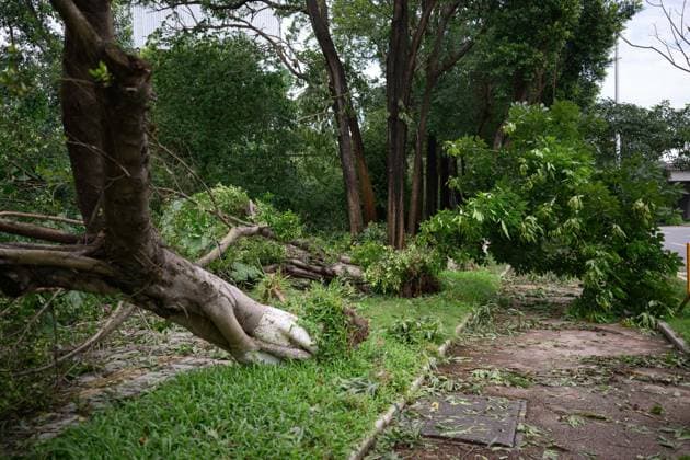 Typhoon Noul hits southern China HUIZHOU,CHINA - JULY 27: Trees collapsed in strong winds as the Typhoon Noul passes through on July 27,2026 in Huizhou, Guangdong Province of China. Typhoon Noul , the 12th typhoon of this year, brought heavy winds and torrential rains along the way, causing tree lodging, road ponding, and facilities damage. The residual circulation continued to create heavy rainfall in many inland places, and the risk of secondary disasters such as flash floods and landslides was still high. John Ricky Anadolu Guangdong China. Editorial use only. Please get in touch for any other usage.  Copyright: x2026xAnadoluxJohnxRickyx
