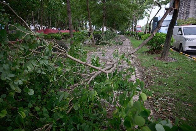 Typhoon Noul hits southern China HUIZHOU,CHINA - JULY 27: Trees collapsed in strong winds as the Typhoon Noul passes through on July 27,2026 in Huizhou, Guangdong Province of China. Typhoon Noul , the 12th typhoon of this year, brought heavy winds and torrential rains along the way, causing tree lodging, road ponding, and facilities damage. The residual circulation continued to create heavy rainfall in many inland places, and the risk of secondary disasters such as flash floods and landslides was still high. John Ricky Anadolu Guangdong China. Editorial use only. Please get in touch for any other usage.  Copyright: x2026xAnadoluxJohnxRickyx