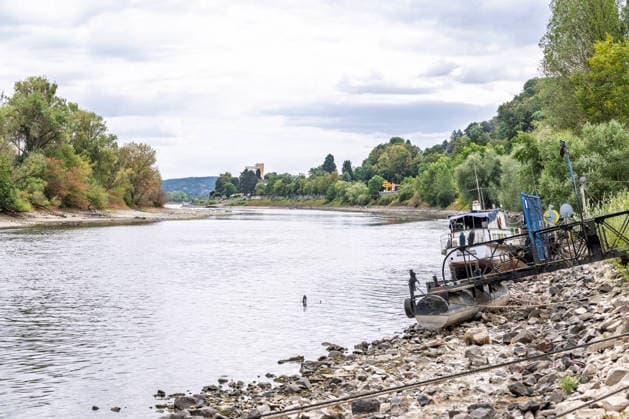 Niedrigwasser am Rhein bei Rolandseck - Fähre Bad Honnef weicht auf Behelfsrampe aus Niedrigwasser am Rhein bei Rolandswerth an der Rheininsel Nonnenwerth. Bei einem Pegelstand von 18 cm am Pegel Oberwinter haben anlegende Schiffe bereits Grundberührung. Der reguläre Fähranleger ist nicht mehr erreichbar - die Fähre nach Bad Honnef muss auf eine benachbarte Rampe ausweichen. Remagen Rolandseck Rheinland-Pfalz Deutschland *** Low water levels on the Rhine near Rolandseck; the Bad Honnef ferry is diverting to a temporary ramp. Low water levels on the Rhine near Rolandswerth on the Rhine island of Nonnenwerth. With the water level at the Oberwinter gauge at 18 cm, ships attempting to dock are already running aground. The regular ferry ter Copyright: xMarcxJohnx