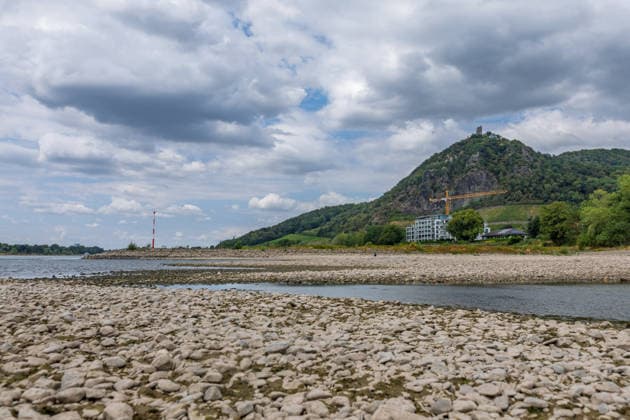 Niedrigwasser am Rhein zwischen Rhöndorf und Bad Honnef Niedrigwasser am Rhein zwischen Rhöndorf und Bad Honnef: Bei anhaltender Trockenheit und einer neuen Hitzewelle liegt das Flussbett teilweise trocken, der Pegel Oberwinter zeigt nur noch 18 cm. Der Schiffsverkehr ist wegen des Niedrigwassers stark eingeschränkt, eine Besserung ist nicht in Sicht. Im Hintergrund der Drachenfels. Bad Honnef Rhöndorf Nordrhein-Westfalen Deutschland *** Low Water Levels on the Rhine Between Rhöndorf and Bad Honnef Low Water Levels on the Rhine Between Rhöndorf and Bad Honnef Due to persistent drought and a new heat wave, parts of the riverbed are dry, and the water level at Oberwinter is now only 18 cm. Boat traffic is severely restricted due to the lo Copyright: xMarcxJohnx