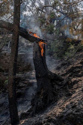 The fire in Ávila is now the largest in Spain’s history, having burned 55,000 hectares. Hotspots in the wake of the wildfire, as of July 27, 2026, in Casillas, Ávila, Castile and León, Spain. The Burgohondo forest fire in Ávila has scorched 55,000 hectares, making it the largest fire ever recorded in Spain. Currently, firefighting efforts are focused on two active zones of concern to crews: the Mijares Pass and the area surrounding the municipality of Casillas. JULY 27, 2026 Ávila, Castile and León, Spain  Copyright: xAlbertoxOrtegax 7690051