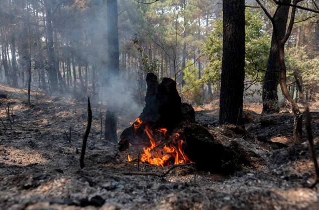 The fire in Ávila is now the largest in Spain’s history, having burned 55,000 hectares. Hotspots in the wake of the wildfire, as of July 27, 2026, in Casillas, Ávila, Castile and León, Spain. The Burgohondo forest fire in Ávila has scorched 55,000 hectares, making it the largest fire ever recorded in Spain. Currently, firefighting efforts are focused on two active zones of concern to crews: the Mijares Pass and the area surrounding the municipality of Casillas. JULY 27, 2026 Ávila, Castile and León, Spain  Copyright: xAlbertoxOrtegax 7690052