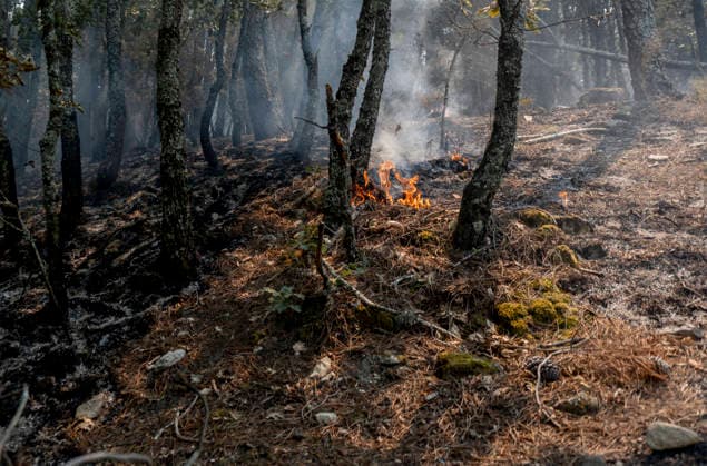 The fire in Ávila is now the largest in Spain’s history, having burned 55,000 hectares. Hotspots in the wake of the wildfire, as of July 27, 2026, in Casillas, Ávila, Castile and León, Spain. The Burgohondo forest fire in Ávila has scorched 55,000 hectares, making it the largest fire ever recorded in Spain. Currently, firefighting efforts are focused on two active zones of concern to crews: the Mijares Pass and the area surrounding the municipality of Casillas. JULY 27, 2026 Ávila, Castile and León, Spain  Copyright: xAlbertoxOrtegax 7690053