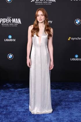 Premiere Of Spider-Man: Brand New Day HOLLYWOOD, CALIFORNIA - JULY 27: Sadie Sink at the Los Angeles Premiere Of Spider-Man: Brand New Day at Dolby Theatre on July 27, 2026 in Hollywood, California. Credit: AdMedia EDITORIAL USE ONLY  Copyright: xx AdMediax admphotosthree007750