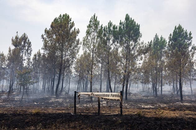 Burned Properties After The Gironde Wildfires - Lege Burned residential properties are seen after the passage of the wildfire, smoke continues to rise from the affected areas as firefighters monitor remaining hotspots in Lège, France, on July 27, 2026. Photo by Margot Le Gonidec ABACAPRESS.COM Lège France  Copyright: xLexGonidecxMargot ABACAx