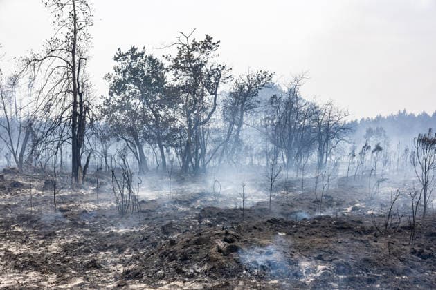 Burned Properties After The Gironde Wildfires - Lege Burned residential properties are seen after the passage of the wildfire, smoke continues to rise from the affected areas as firefighters monitor remaining hotspots in Lège, France, on July 27, 2026. Photo by Margot Le Gonidec ABACAPRESS.COM Lège France  Copyright: xLexGonidecxMargot ABACAx