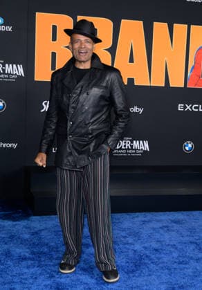 Spider-Man Brand New Day Premiere - Los Angeles, USA LOS ANGELES, USA. July 27, 2026: Mario Van Peebles at the premiere for Spider-Man: Brand New Day at the Dolby Theatre. Los Angeles CA USA  Copyright: xPaulxSmith Featureflashx
