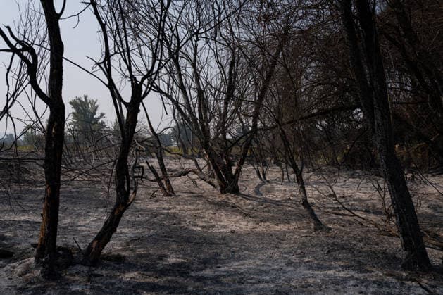 Firefighters have managed to contain the spread of the active fire fronts in the Sierra Oeste forest fire in Madrid. Burnt area between Valdemaqueda and Villamanta, as of July 28, 2026, in Madrid, Spain. The intense efforts carried out overnight by the firefighting team have made it possible to contain the spread of the active fronts of the wildfire affecting the Community of Madrid and prevent the flames from reaching the municipality of Valdemaqueda. However, firefighting efforts continue, with attention focused on the rise in temperatures expected across the peninsula starting tomorrow, July 28, 2026, in Madrid, Madrid, Spain  Copyright: xMatiasxChiofalox 7690616
