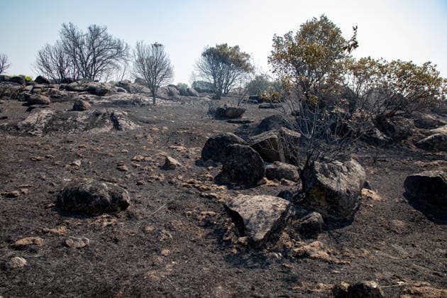 Optimism Following Effective Firefighting Efforts in Ávila Land burned by the wildfire between Cebreros and El Tiemblo, as of July 28, 2026, in Ávila, Castile and León, Spain. Efforts to contain the fire, which originated in Burgohondo and is spreading throughout the province of Ávila, are generating optimism thanks to highly effective firefighting operations. Efforts have focused primarily on protecting the area around the Casilla Pass, the entrance to the nature reserve, the Tiemblo chestnut grove, and the Mijares Pass. July 28, 2026 Ávila, Castile and León Ávila, Castile and León, Spain  Copyright: xRafaelxBastantex 7690791