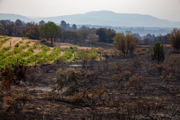 Optimism Following Effective Firefighting Efforts in Ávila Land burned by the wildfire between Cebreros and El Tiemblo, as of July 28, 2026, in Ávila, Castile and León, Spain. Efforts to contain the fire, which originated in Burgohondo and is spreading throughout the province of Ávila, are generating optimism thanks to highly effective firefighting operations. Efforts have focused primarily on protecting the area around the Casilla Pass, the entrance to the nature reserve, the Tiemblo chestnut grove, and the Mijares Pass. July 28, 2026 Ávila, Castile and León Ávila, Castile and León, Spain  Copyright: xRafaelxBastantex 7690798