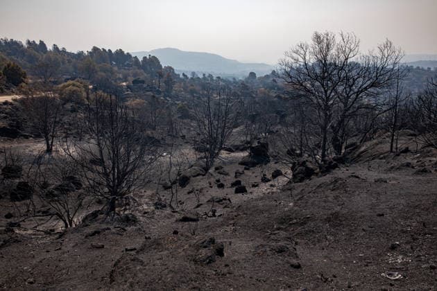 Optimism Following Effective Firefighting Efforts in Ávila Land burned by the wildfire between Cebreros and El Tiemblo, as of July 28, 2026, in Ávila, Castile and León, Spain. Efforts to contain the fire, which originated in Burgohondo and is spreading throughout the province of Ávila, are generating optimism thanks to highly effective firefighting operations. Efforts have focused primarily on protecting the area around the Casilla Pass, the entrance to the nature reserve, the Tiemblo chestnut grove, and the Mijares Pass. July 28, 2026 Ávila, Castile and León Ávila, Castile and León, Spain  Copyright: xRafaelxBastantex 7690805