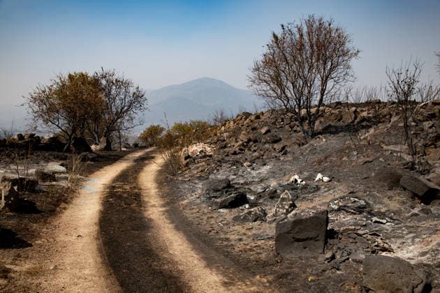 Optimism Following Effective Firefighting Efforts in Ávila Land burned by the wildfire between Cebreros and El Tiemblo, as of July 28, 2026, in Ávila, Castile and León, Spain. Efforts to contain the fire, which originated in Burgohondo and is spreading throughout the province of Ávila, are generating optimism thanks to highly effective firefighting operations. Efforts have focused primarily on protecting the area around the Casilla Pass, the entrance to the nature reserve, the Tiemblo chestnut grove, and the Mijares Pass. July 28, 2026 Ávila, Castile and León Ávila, Castile and León, Spain  Copyright: xRafaelxBastantex 7690806