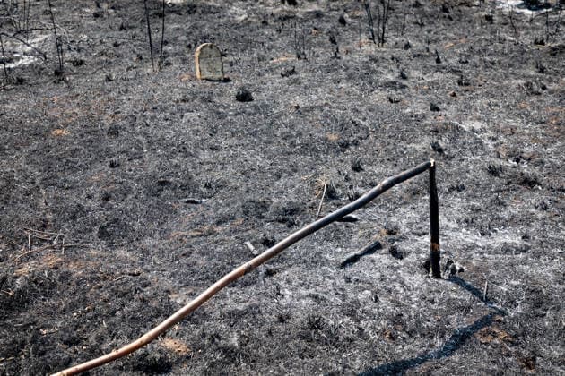 Optimism Following Effective Firefighting Efforts in Ávila Land burned by the wildfire between Cebreros and El Tiemblo, as of July 28, 2026, in Ávila, Castile and León, Spain. Efforts to contain the fire, which originated in Burgohondo and is spreading across the province of Ávila, are generating optimism thanks to highly effective firefighting operations. Efforts have focused primarily on protecting the area around the Casilla Pass, the entrance to the nature reserve, the Tiemblo chestnut grove, and the Mijares Pass. JULY 28, 2026 Ávila, Castile and León Ávila, Castile and León, Spain  Copyright: xRafaelxBastantex 7690801