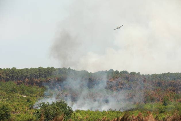 French wildfires burn more than 116,000 hectares this season, minister says LEGE-CAP-FERRET, FRANCE - JULY 28: Smoke rises over a forest as a wildfire spreads in Lege-Cap-Ferret, France on July 28, 2026. A fleet of 67 aircraft, including 12 Canadair water bombers, eight Dash planes, and 16 leased helicopters and aircraft, was deployed to assist firefighting operations in extinguishing the blaze. Mohamad Salaheldin Abdelghani Alsayed Anadolu Lege-cap-ferret France. Editorial use only. Please get in touch for any other usage.  Copyright: x2026xAnadoluxMohamadxSalaheldinxAbdelghanixAlsayedx