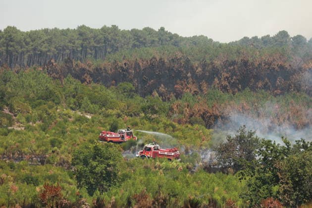 French wildfires burn more than 116,000 hectares this season, minister says LEGE-CAP-FERRET, FRANCE - JULY 28: Smoke rises over a forest as a wildfire spreads in Lege-Cap-Ferret, France on July 28, 2026. A fleet of 67 aircraft, including 12 Canadair water bombers, eight Dash planes, and 16 leased helicopters and aircraft, was deployed to assist firefighting operations in extinguishing the blaze. Mohamad Salaheldin Abdelghani Alsayed Anadolu Lege-cap-ferret France. Editorial use only. Please get in touch for any other usage.  Copyright: x2026xAnadoluxMohamadxSalaheldinxAbdelghanixAlsayedx