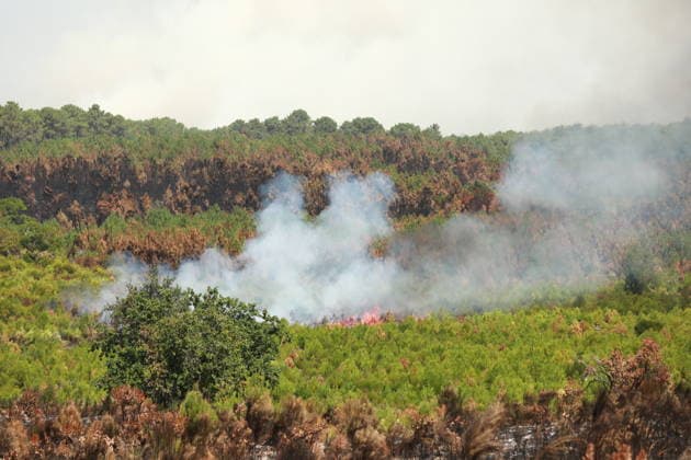 French wildfires burn more than 116,000 hectares this season, minister says LEGE-CAP-FERRET, FRANCE - JULY 28: Smoke rises over a forest as a wildfire spreads in Lege-Cap-Ferret, France on July 28, 2026. A fleet of 67 aircraft, including 12 Canadair water bombers, eight Dash planes, and 16 leased helicopters and aircraft, was deployed to assist firefighting operations in extinguishing the blaze. Mohamad Salaheldin Abdelghani Alsayed Anadolu Lege-cap-ferret France. Editorial use only. Please get in touch for any other usage.  Copyright: x2026xAnadoluxMohamadxSalaheldinxAbdelghanixAlsayedx