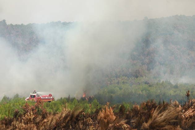 French wildfires burn more than 116,000 hectares this season, minister says LEGE-CAP-FERRET, FRANCE - JULY 28: Smoke rises over a forest as a wildfire spreads in Lege-Cap-Ferret, France on July 28, 2026. A fleet of 67 aircraft, including 12 Canadair water bombers, eight Dash planes, and 16 leased helicopters and aircraft, was deployed to assist firefighting operations in extinguishing the blaze. Mohamad Salaheldin Abdelghani Alsayed Anadolu Lege-cap-ferret France. Editorial use only. Please get in touch for any other usage.  Copyright: x2026xAnadoluxMohamadxSalaheldinxAbdelghanixAlsayedx