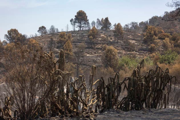 The Vall d’Uixó fire is contained, but smoke remains a concern. Areas scorched by the Vall d’Uixó fire, as of July 28, 2026, in Castellón, Valencian Community, Spain. The fire that broke out in Vall d’Uixó, Castellón, is not spreading significantly in terms of the number of hectares burned or its perimeter, but the smoke and the possibility that a temperature inversion could cause the fire to reignite are causing concern. Therefore, the absence of flames gives a false sense of security, and we must not let our guard down. JULY 28, 2026 Ángel Sá Castellón, Valencian Community, Castellón, Valencian Community, Spain  Copyright: xÃngelxSanchezx 7691341
