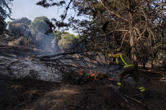 Firefighters Succeed in Containing the Spread of Active Fire Fronts in the Sierra Oeste Forest Fire in Madrid A firefighter works to extinguish the forest fire in the Sierra Oeste of Madrid, near the San Juan Reservoir, on July 28, 2026, in Madrid, Spain. The intense efforts carried out overnight by the firefighting team have made it possible to contain the spread of the active fronts of the wildfire affecting the Community of Madrid and prevent the flames from reaching the municipality of Valdemaqueda. However, firefighting efforts continue, with attention focused on the rise in temperatures expected across the peninsula starting tomorrow, July 28, 2026, in Madrid, Spain  Copyright: xMatiasxChiofalox 7691518