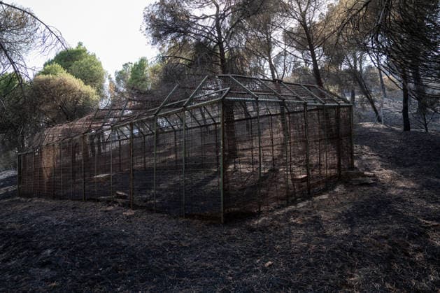 Firefighters have managed to contain the spread of the active fronts of the wildfire in Madrid’s Sierra Oeste. Scorched areas around the San Juan Reservoir following the wildfire in Madrid’s Sierra Oeste, on July 28, 2026, in Madrid, Spain. The intense efforts carried out overnight by the firefighting team have made it possible to contain the spread of the active fronts of the wildfire affecting the Community of Madrid and prevent the flames from reaching the municipality of Valdemaqueda. However, firefighting efforts continue, with attention focused on the rising temperatures expected across the peninsula starting tomorrow, July 28, 2026, Madrid, Madrid, Spain  Copyright: xMatiasxChiofalox 7691516