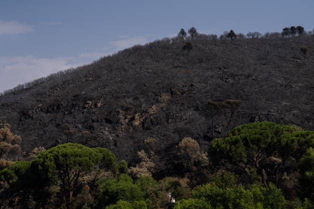 Firefighters have managed to contain the spread of the active fronts of the wildfire in Madrid’s Sierra Oeste. Burned areas around the San Juan Reservoir following the wildfire in Madrid’s Sierra Oeste, on July 28, 2026, in Madrid, Spain. The intense efforts carried out overnight by the firefighting team have made it possible to contain the advance of the active fronts of the wildfire affecting the Community of Madrid and prevent the flames from reaching the municipality of Valdemaqueda. However, firefighting efforts continue, with attention focused on the rising temperatures expected across the peninsula starting tomorrow, July 28, 2026, in Madrid, Spain  Copyright: xMatiasxChiofalox 7691514