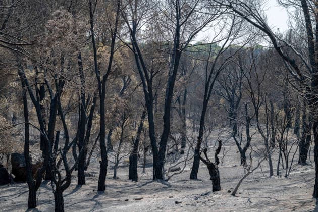 July 28, 2026, Almorox, Toledo, Spain: A massive wildfire originating in the Pinar de Almorox pine forest in Toledo has crossed regional borders into the Community of Madrid, scorching over 1,000 hectares (2,470 acres) and leaving a trail of severe environmental and material destruction. Almorox Spain  - ZUMAd308 20260728_zsp_d308_005 Copyright: xJuanxCarlosxLucasx