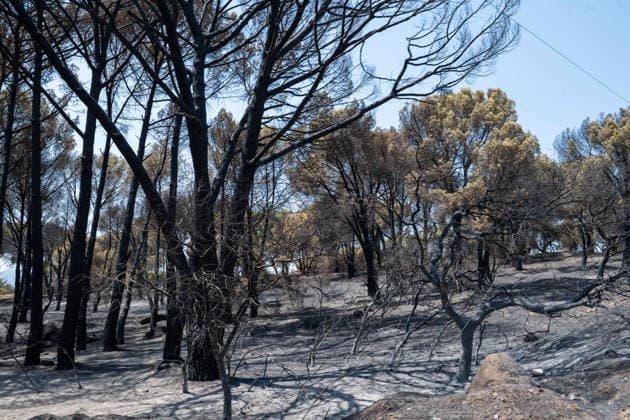 July 28, 2026, Almorox, Toledo, Spain: A massive wildfire originating in the Pinar de Almorox pine forest in Toledo has crossed regional borders into the Community of Madrid, scorching over 1,000 hectares (2,470 acres) and leaving a trail of severe environmental and material destruction. Almorox Spain  - ZUMAd308 20260728_zsp_d308_014 Copyright: xJuanxCarlosxLucasx