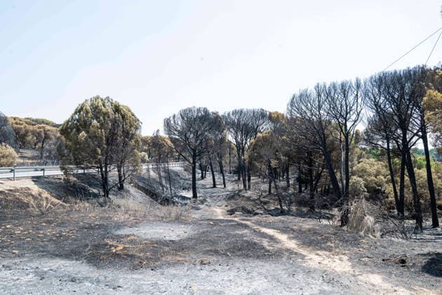 July 28, 2026, Almorox, Toledo, Spain: A massive wildfire originating in the Pinar de Almorox pine forest in Toledo has crossed regional borders into the Community of Madrid, scorching over 1,000 hectares (2,470 acres) and leaving a trail of severe environmental and material destruction. Almorox Spain  - ZUMAd308 20260728_zsp_d308_015 Copyright: xJuanxCarlosxLucasx