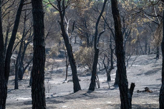 July 28, 2026, Almorox, Toledo, Spain: A massive wildfire originating in the Pinar de Almorox pine forest in Toledo has crossed regional borders into the Community of Madrid, scorching over 1,000 hectares (2,470 acres) and leaving a trail of severe environmental and material destruction. Almorox Spain - ZUMAd308 20260728_zsp_d308_006 Copyright: xJuanxCarlosxLucasx