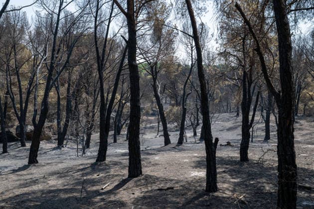 July 28, 2026, Almorox, Toledo, Spain: A massive wildfire originating in the Pinar de Almorox pine forest in Toledo has crossed regional borders into the Community of Madrid, scorching over 1,000 hectares (2,470 acres) and leaving a trail of severe environmental and material destruction. Almorox Spain - ZUMAd308 20260728_zsp_d308_007 Copyright: xJuanxCarlosxLucasx