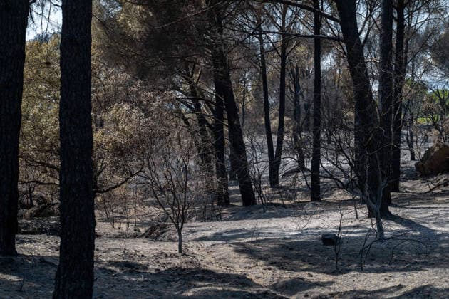 July 28, 2026, Almorox, Toledo, Spain: A massive wildfire originating in the Pinar de Almorox pine forest in Toledo has crossed regional borders into the Community of Madrid, scorching over 1,000 hectares (2,470 acres) and leaving a trail of severe environmental and material destruction. Almorox Spain - ZUMAd308 20260728_zsp_d308_013 Copyright: xJuanxCarlosxLucasx