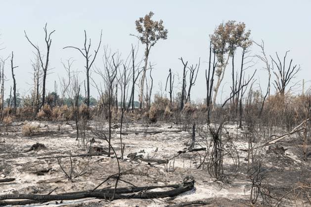 FIRE IN GIRONDE PHOTOPQR LE PARISIEN Olivier Corsan Lacanau July 28, 2026 Lacanau, Gironde, France, July 28, 2026 Firefighters, assisted by aerial resources—airplanes, helicopters, Dash and Canadair aircraft, battled flare-ups around the town of Lacanau. Photo: LP Olivier Corsan FIRE IN GIRONDE Fire in southwestern France, July 28, 2026 Local Caption Lacanau, Gironde, France  Copyright: xPHOTOPQR LExPARISIEN MAXPPPxOlivierxCorsanx 20260728LPA6218 20260728LPA6218