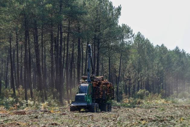 FIRE IN GIRONDE PHOTOPQR LE PARISIEN Olivier Corsan Lacanau July 28, 2026 Lacanau, Gironde, France, July 28, 2026 Firebreaks were created to prevent the fires from reigniting around the town of Lacanau. Photo: LP Olivier Corsan FIRE IN GIRONDE Fire in southwestern France, July 28, 2026 Local Caption Lacanau, Gironde, France  Copyright: xPHOTOPQR LExPARISIEN MAXPPPxOlivierxCorsanx 20260728LPA6230 20260728LPA6230
